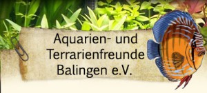 Balingen