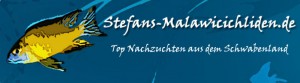 Malawicichliden-banner